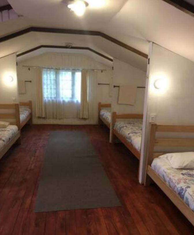 Alma Nativa Hostel Пукон Екстер'єр фото