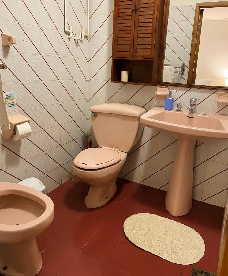 Alma Nativa Hostel Пукон Екстер'єр фото